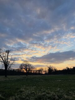 IMG_5043.jpeg