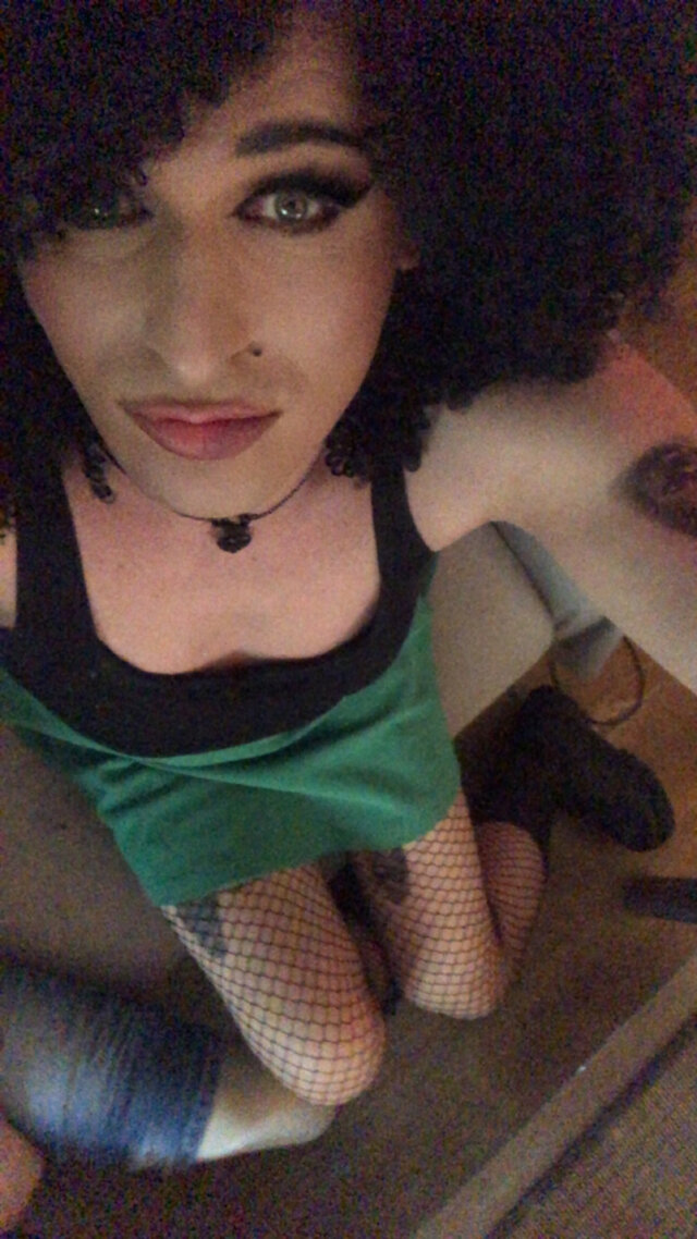 TransKitty
