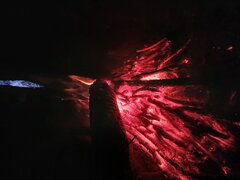 20260429_201642.jpg