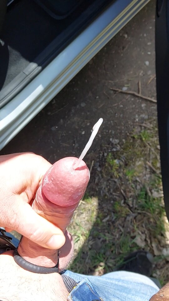 1000011115.jpg - Forsst