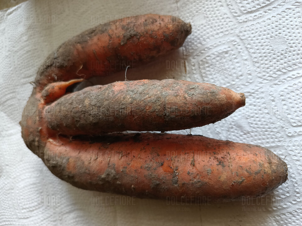 1000045167.jpg - DolceFiore