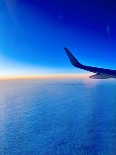 IMG_0031.jpeg