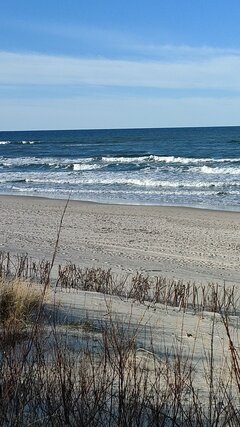IMG_20260501_11035249.jpeg