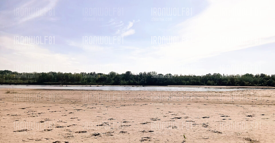 91383.jpg - IronWolf81