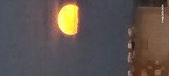 20260501_202039.jpg