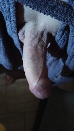 1000017554.jpg