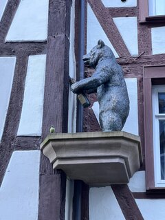 IMG_6621.jpeg