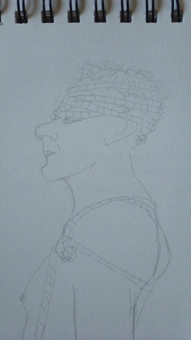 Wsparrowhawk