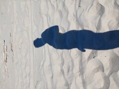 20260502_112709.jpg