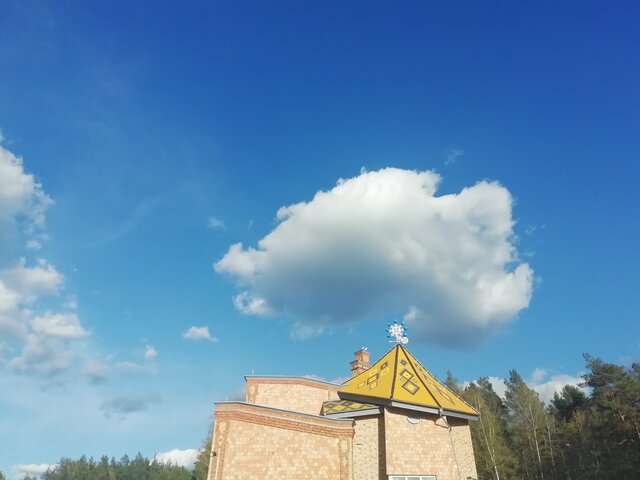 KrainaKotowKolorowych