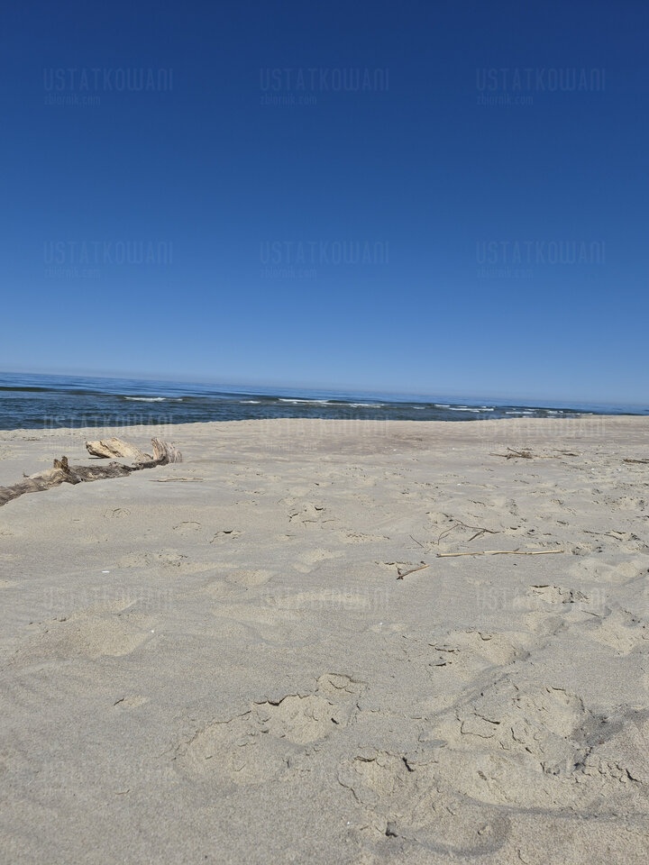 Piaski. Plaża FKK. Wejście 11. Sezon rozpoczęty - Ustatkowani