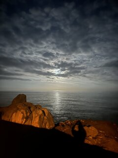 IMG_8832.jpeg