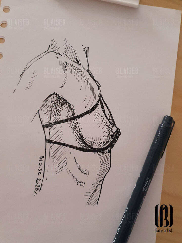 Art. No. 394 - blaise8