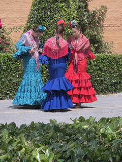 Fiesta de la cruz