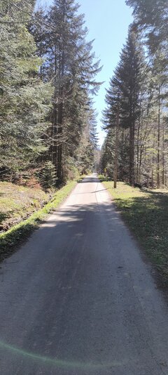 IMG20260503113401.jpg