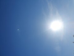 20260503_164228.jpg