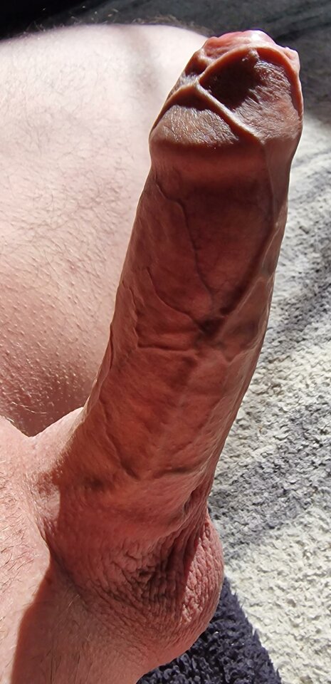 1000005590.jpg - RealBull88