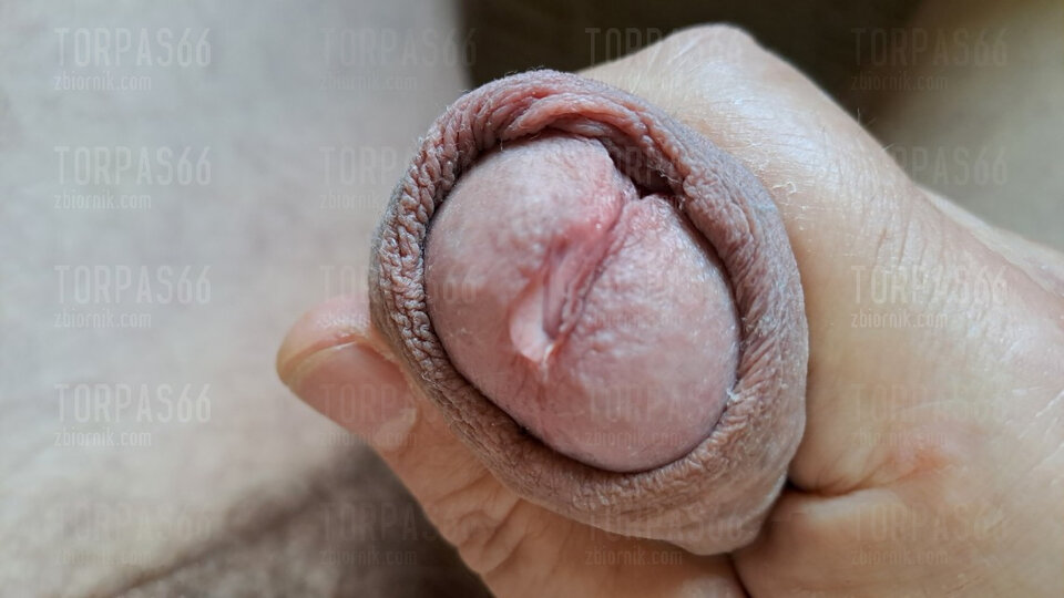 5002.jpg - torpas66