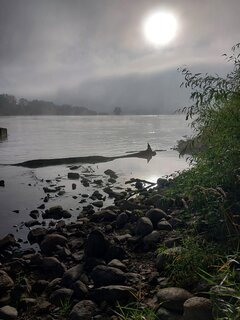 20241016_091503 — kopia.jpg