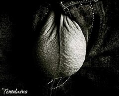 IMG_3550.jpeg