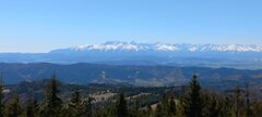 20260503_113010.jpg