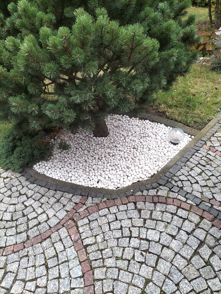 IMG20251011161749.jpg - Mileneusz