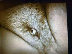 19113453-3bbc-4eca-ab50-88093b92aad8.jpg